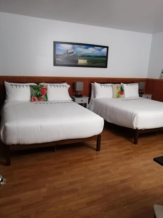 Saint-Alexandre-de-Kamouraska Hotel Fleurs Karaibes מראה חיצוני תמונה