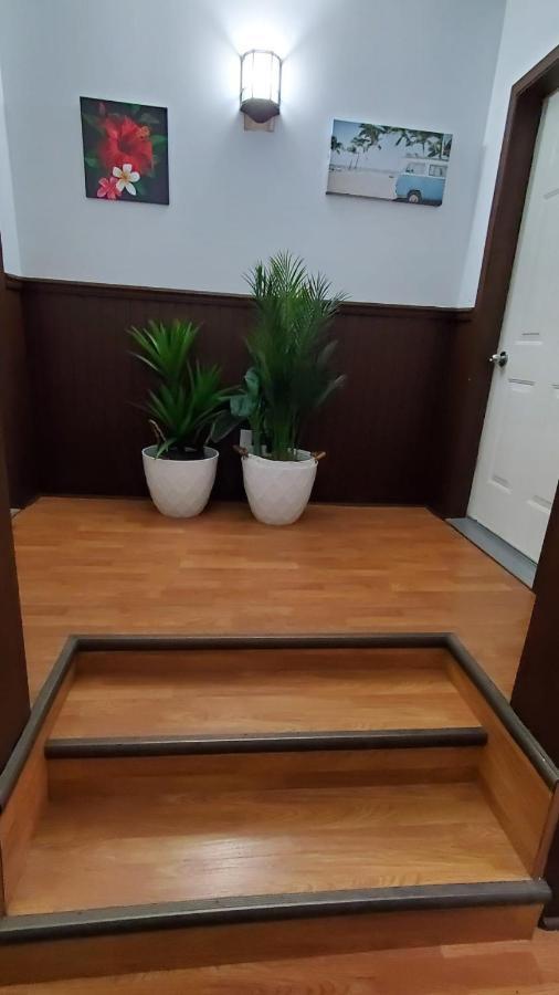 Saint-Alexandre-de-Kamouraska Hotel Fleurs Karaibes מראה חיצוני תמונה